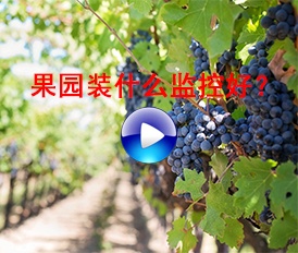 果園裝什么監(jiān)控好？