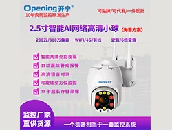 2.5寸智能AI網(wǎng)絡(luò)高清小球（點擊進入大圖）