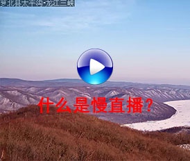 什么是慢直播？