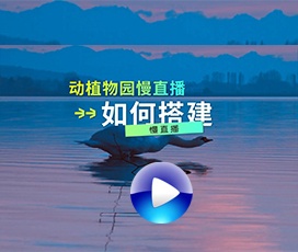 動(dòng)物園如何實(shí)現(xiàn)慢直播
