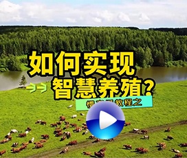 智慧養(yǎng)殖慢直播系統(tǒng)如何搭建？