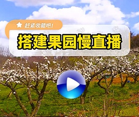 果園無人24小時(shí)慢直播解決方案