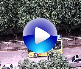 開寧500萬溫濕度慢直播攝像機(jī)實時視頻效果！