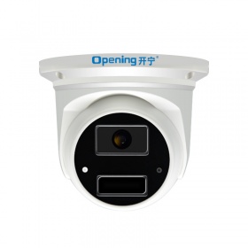 200萬(wàn)網(wǎng)絡(luò)高清半球攝像機(jī) 